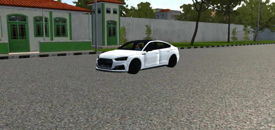 Audi S5 Sportback Wide Body