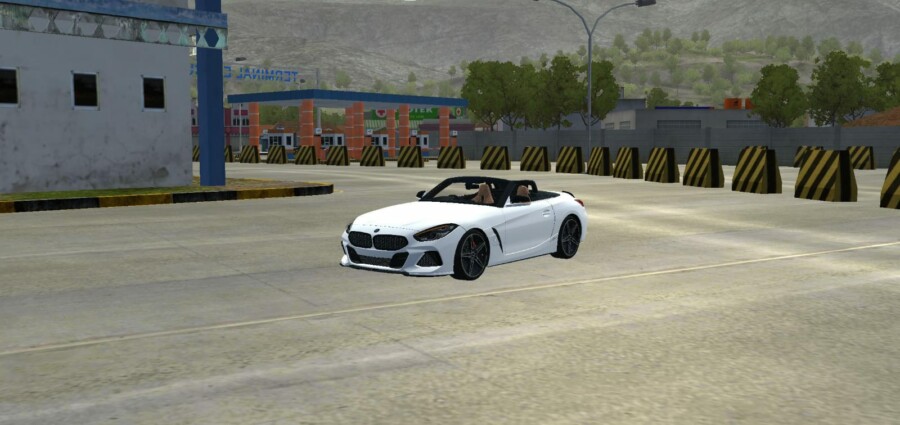 BMW Z4 AC Schnitzer 2019