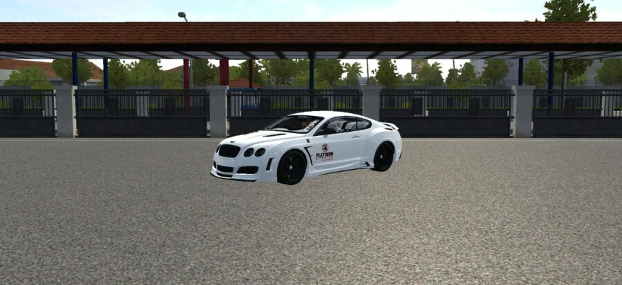 Bentley Continental GT Platinum Motorsport